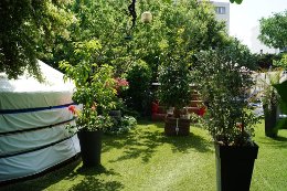 chambre hote suite montpellier