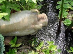 chambre d'hote Montpellier - villa ind�pendante