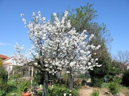 chambre d'hote Montpellier - villa ind�pendante